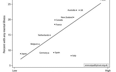 Mind the Gap: How Economic Inequality Shapes Mental Health