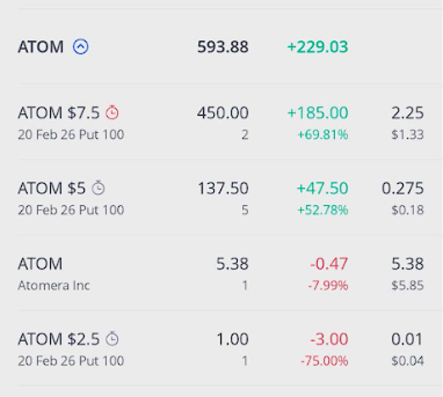 ATOM position and option legs snapshot for Feb 18, 2026
