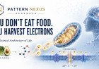 You Don't Eat Food. You Harvest Electrons: The Electrical Architecture of Life