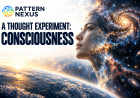 A Thought Experiment: Consciousness