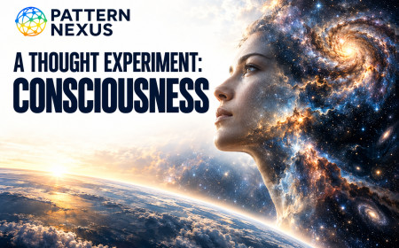 A Thought Experiment: Consciousness